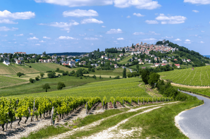 Sancerre ve Francii